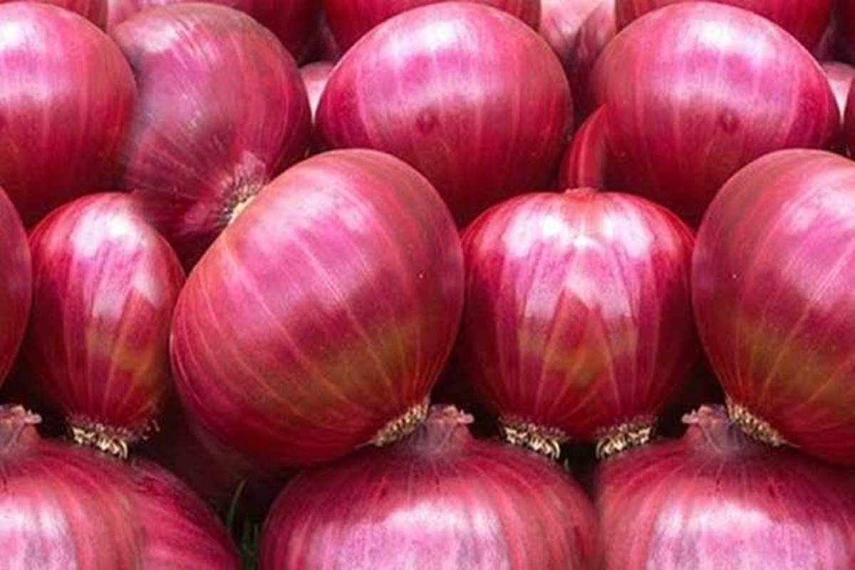 India imposes 40% export duty on onions to calm rising prices