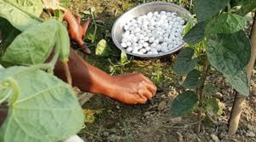 Govt seeks 50,000 tons of urea fertilizer with Bangladesh on refundable basis