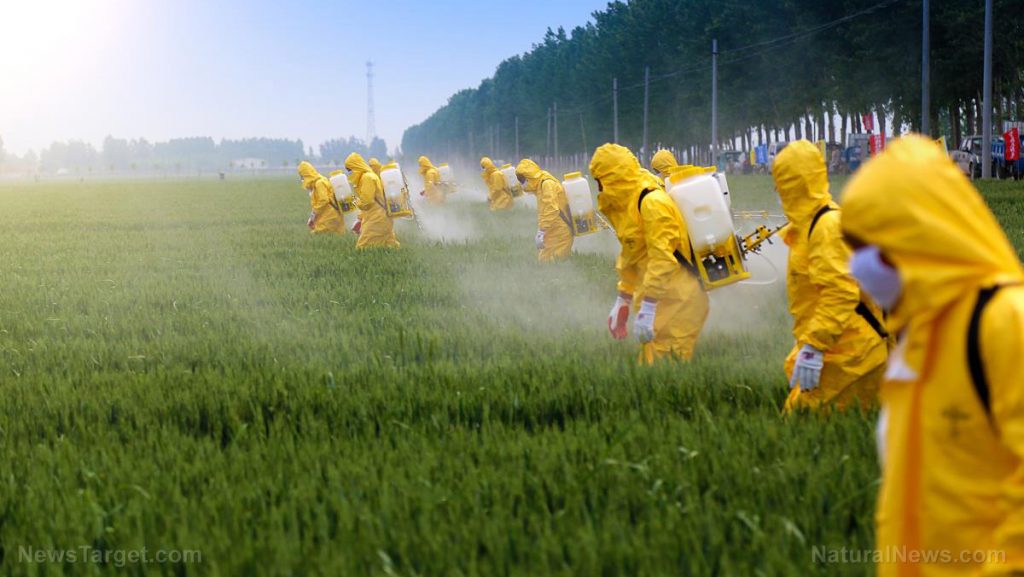 Govt curtails grants on chemical fertilizers