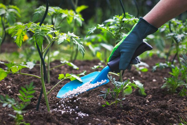 Government allocated of Rs 49 billion to import chemical fertilizer