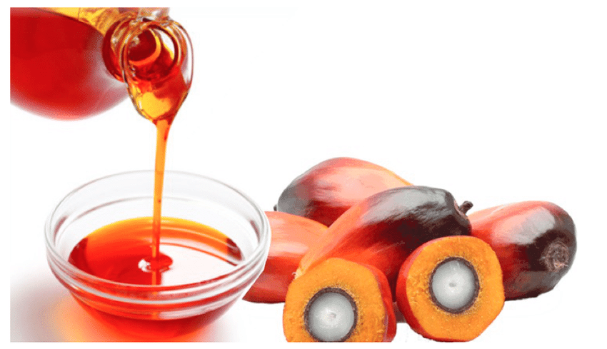 India resumes import of crude palm oil, cuts import duty, opens door for export from Nepal