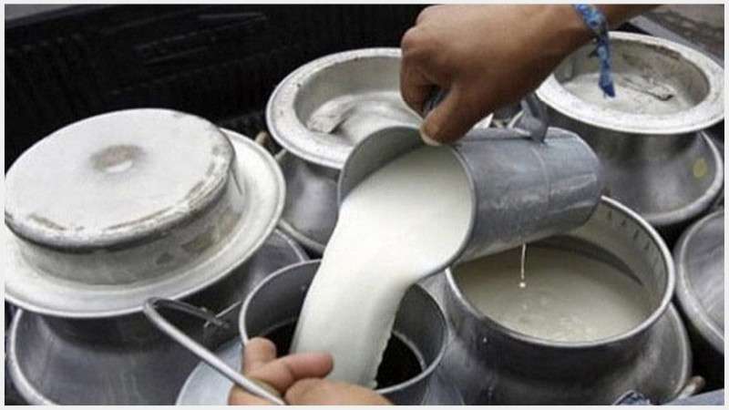 Milk consumption only 75 litres per person per year in Nepal