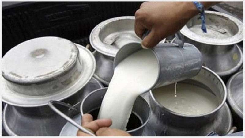 Government sets minimum price of unprocessed milk at Rs 56.4 per litre