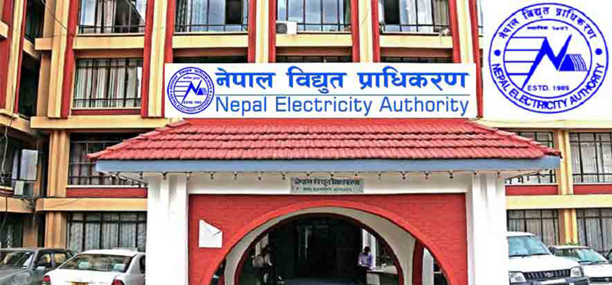 NEA stops power supply to two more industries