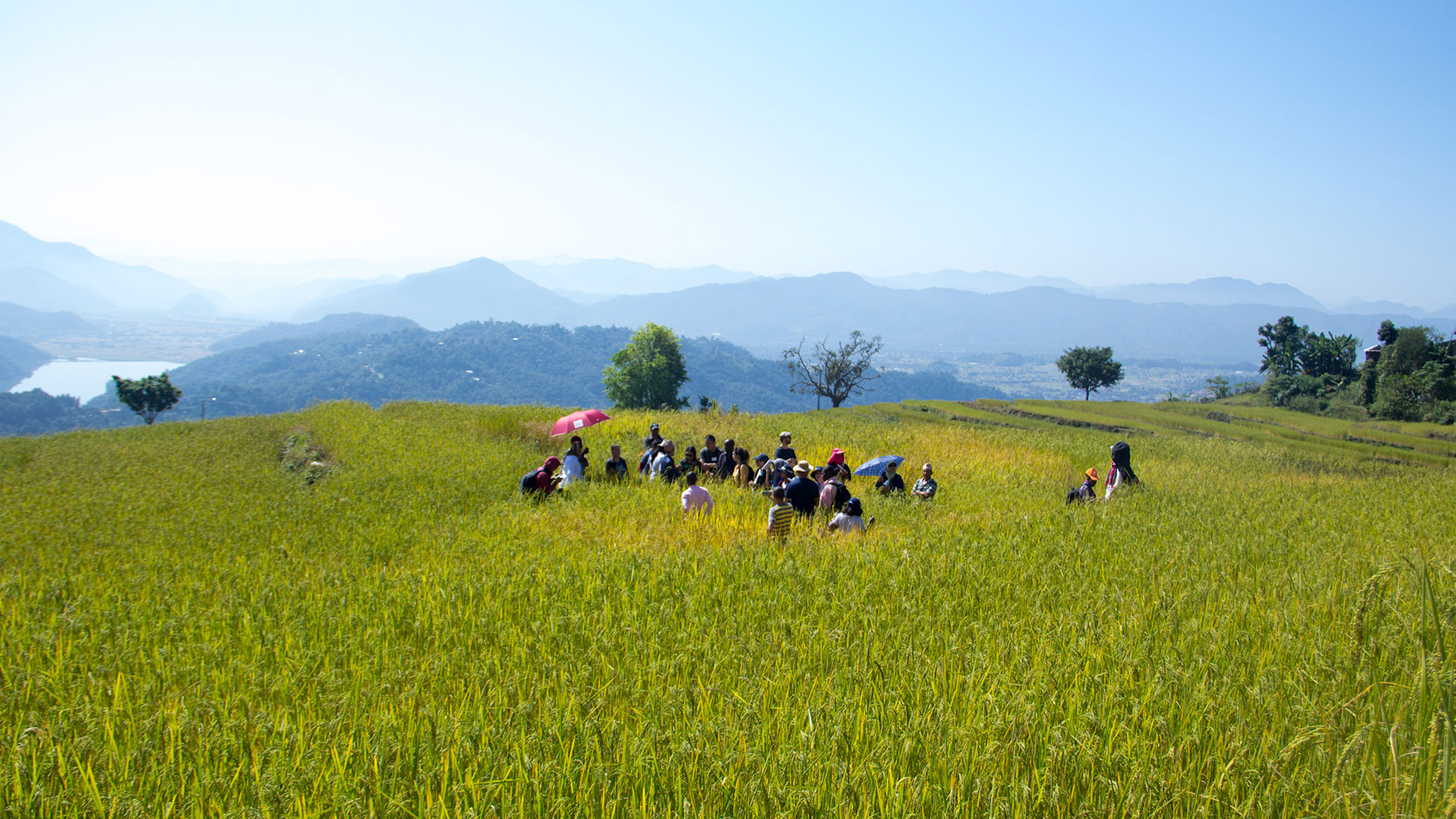 Seventh National Agriculture Census starts from today