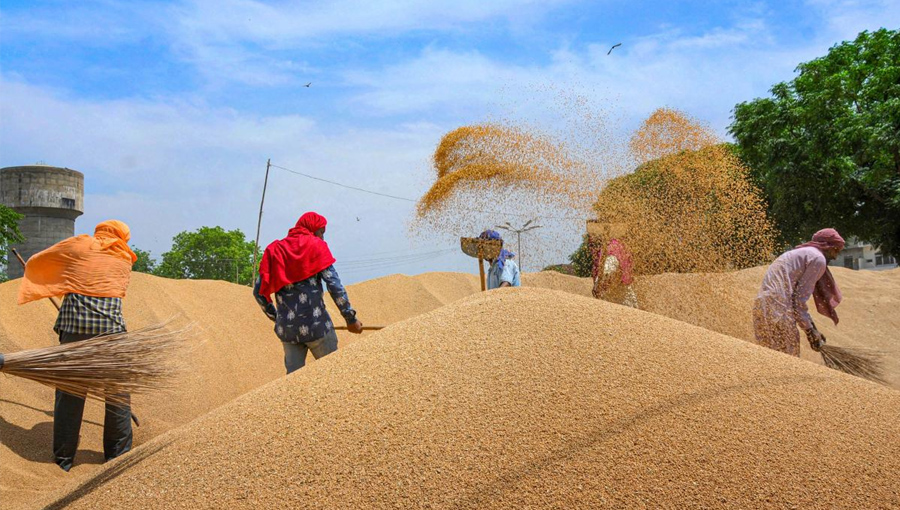 Wheat prices hit record high after Indian export ban