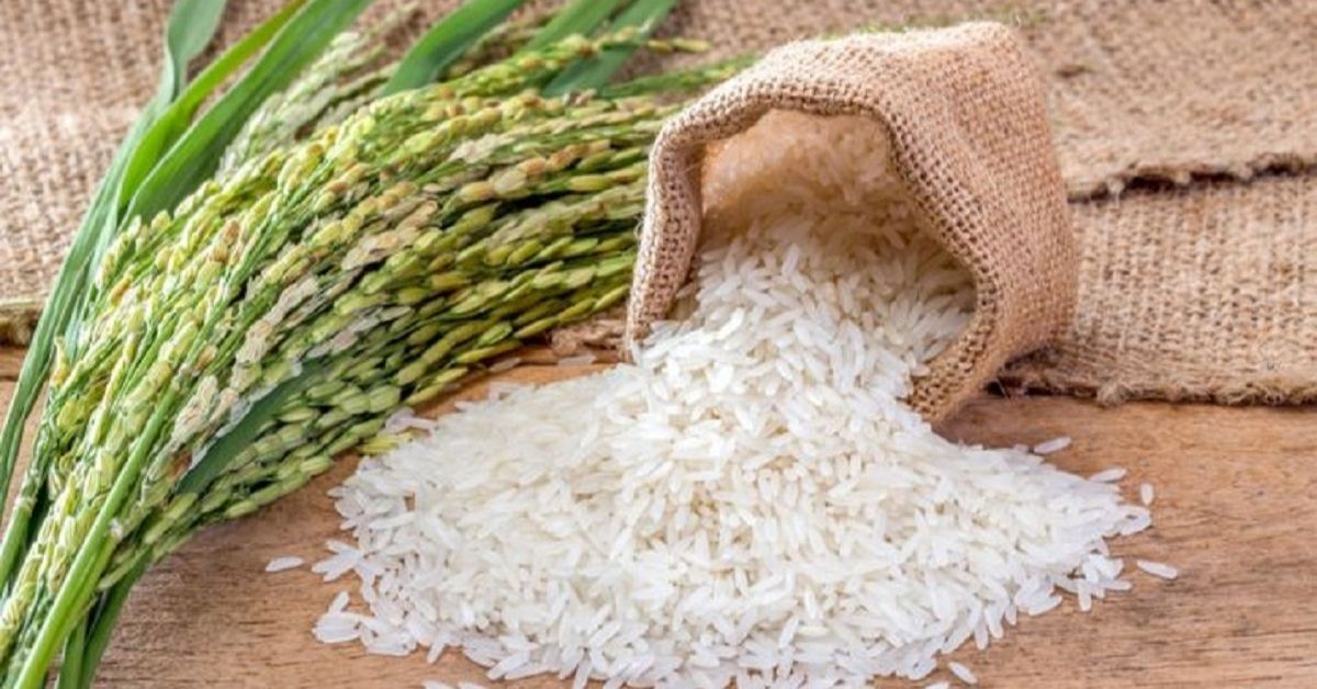 Nepal’s dependency on rice increasing as annual import reaches Rs 50 billion