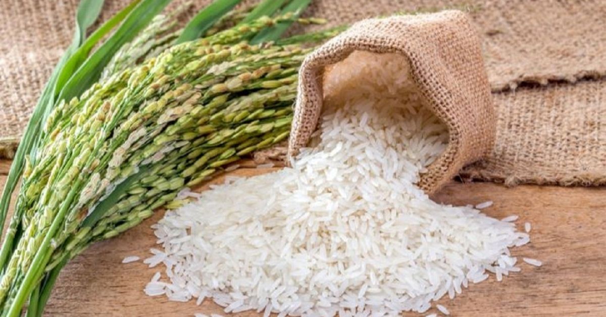 India imposes 20% export duty on non-Basmati rice from Sept 9