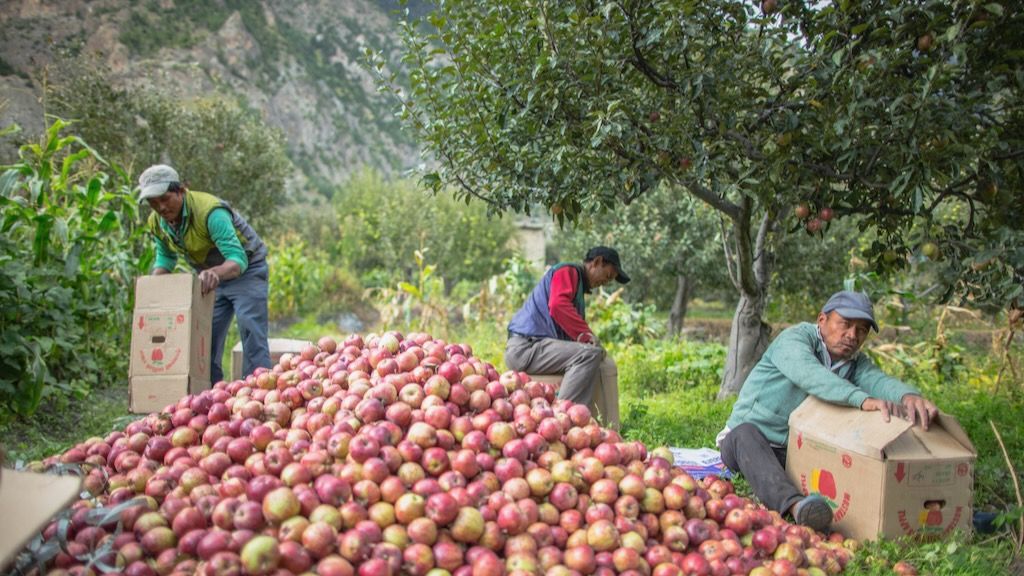 ADB’s $70 Million Support to Improve Horticulture in Nepal’s Hilly Areas