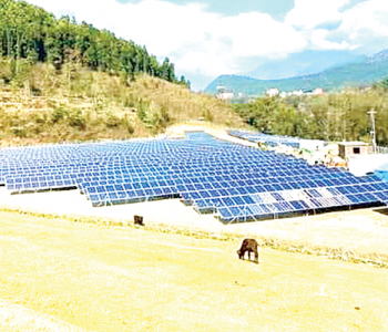 NEA to purchase 100 MW of electricity from solar power