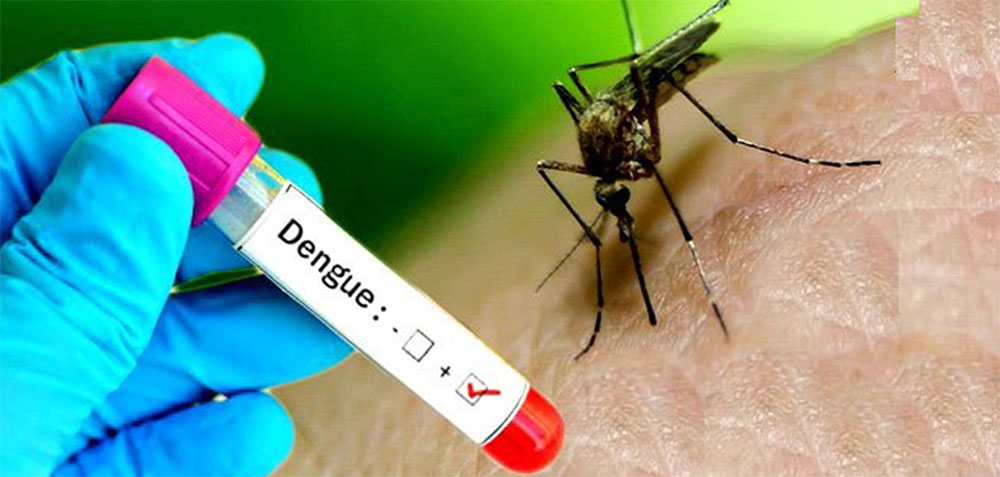 Health Ministry to launch nationwide dengue control campaign