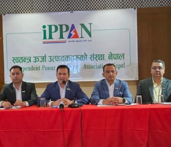 IPPAN raise concerns over Proposed Electricity Bill, calls for industry fairness