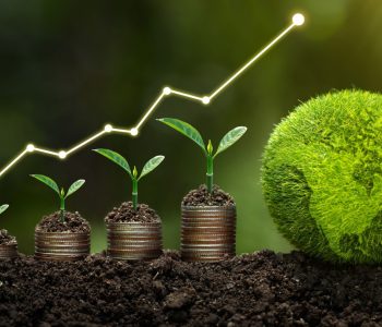 Finance companies swing to profit of Rs 32.15 million but bad loans soar to 55% in some firms