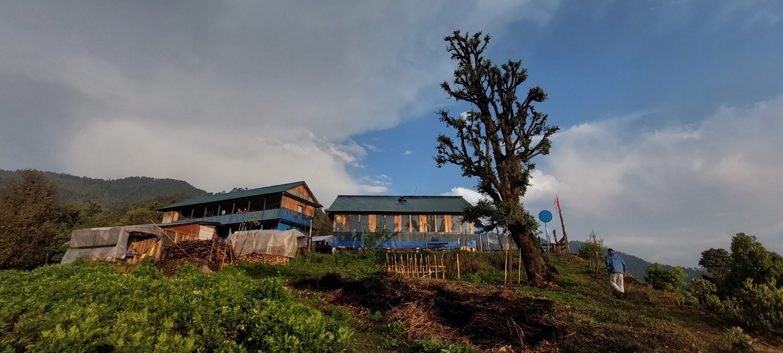 Global construction sector on track to double carbon emissions by 2050, study warns