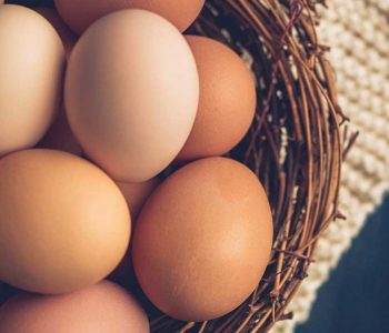 Egg prices drop as supply rises, XL rate set at Rs 390 per crate