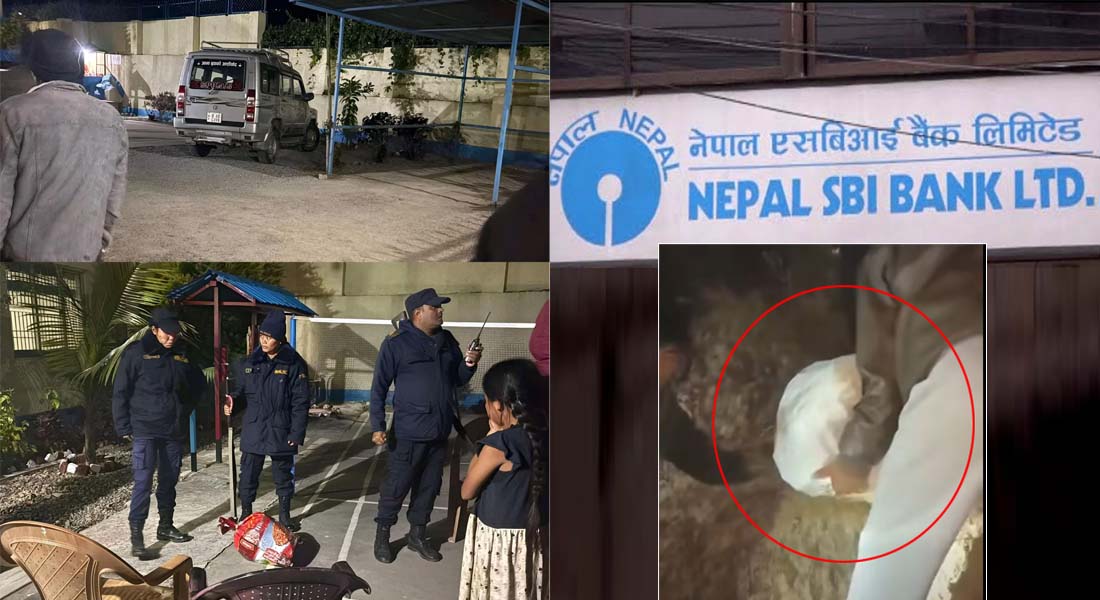 Four arrested in Nepal SBI Bank heist; Rs 18 million recovered