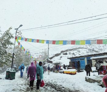 Rain and heavy snowfall blanket western hilli districts; Farmers see major boost for winter crops