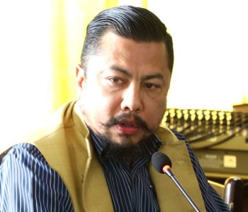 Govt forms two high-level committees to review power purchase agreements and licensing system in energy sector