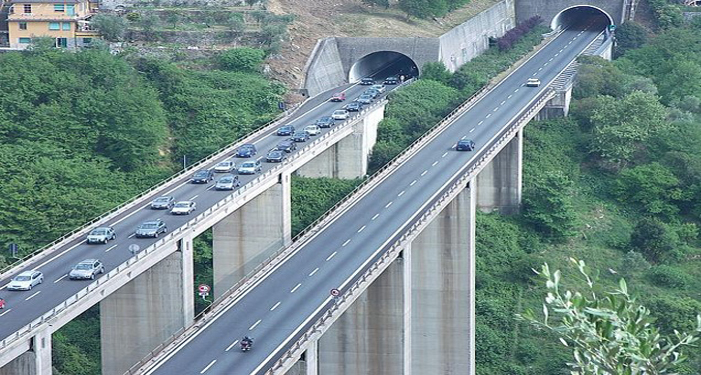 Govt clears 18,898 trees and 46.39 hectares of forest land to accelerate Kathmandu–Terai Fast Track Project