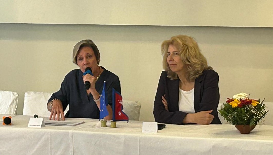 EU Ambassadors