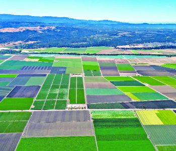 Govt brings bank collateral release services closer to citizens, Expands land administration to local levels