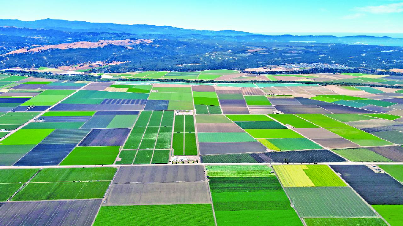Land ownership local level