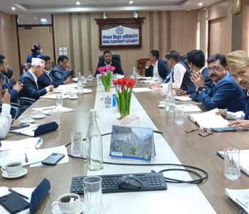 Energy Ministry begins budget execution roadmap, Pushes NEA for immediate action