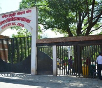 Bird Flu detected at Central Zoo, Jawalakhel closed indefinitely