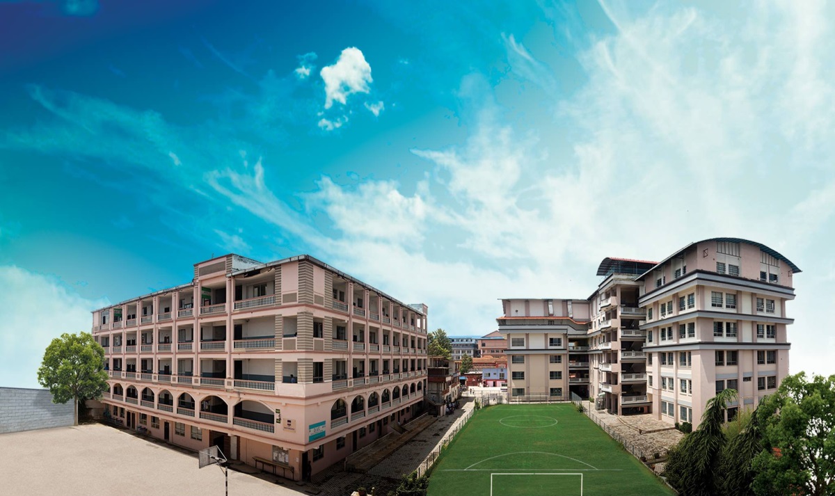 dav college mental health problem