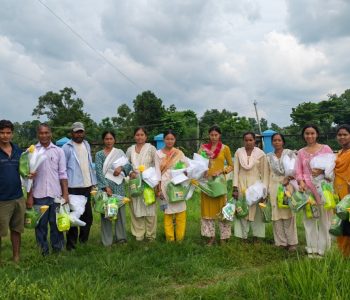 One House, One Kitchen Garden initiative promotes rusty-spotted cat conservation in Bardia