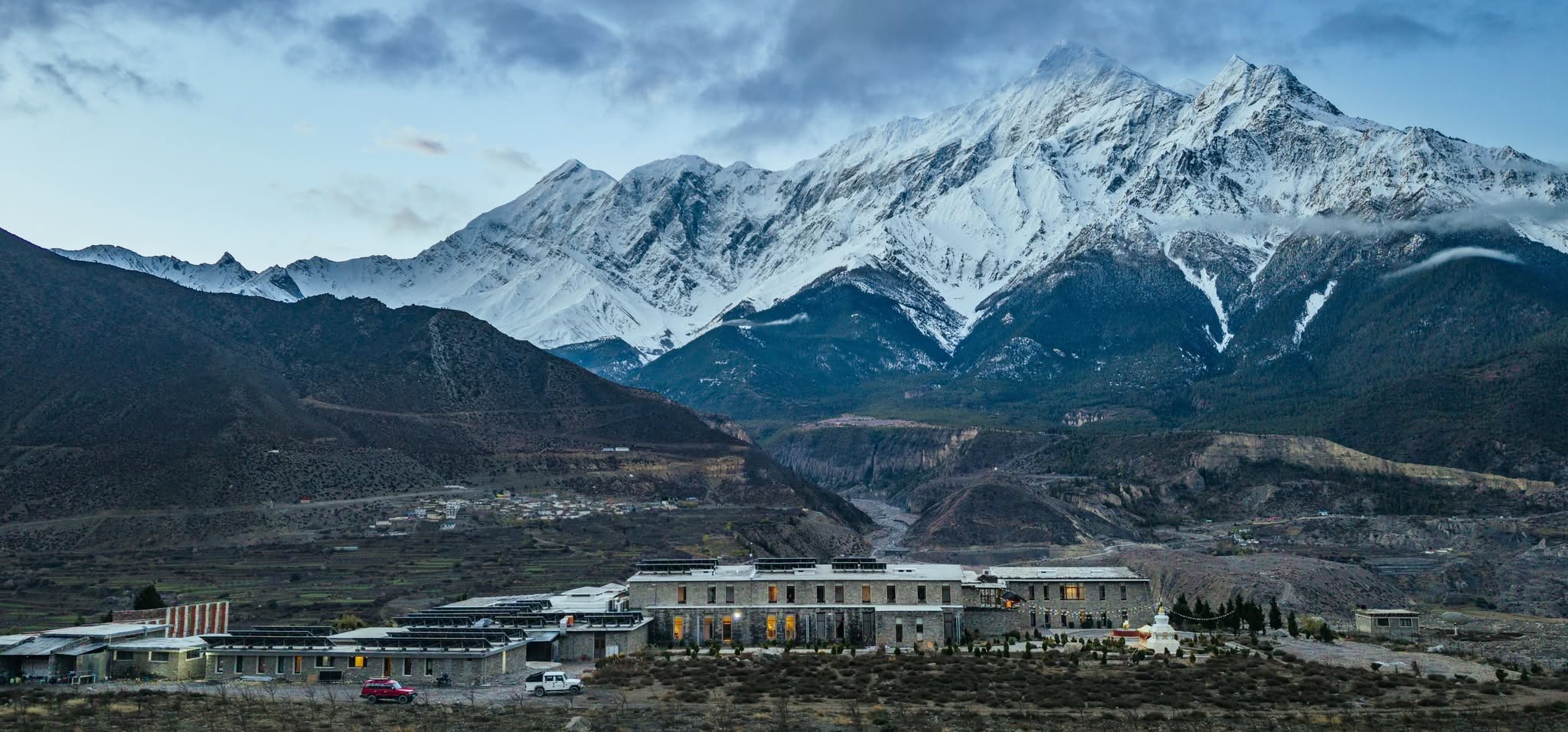 Sintamani Mustang